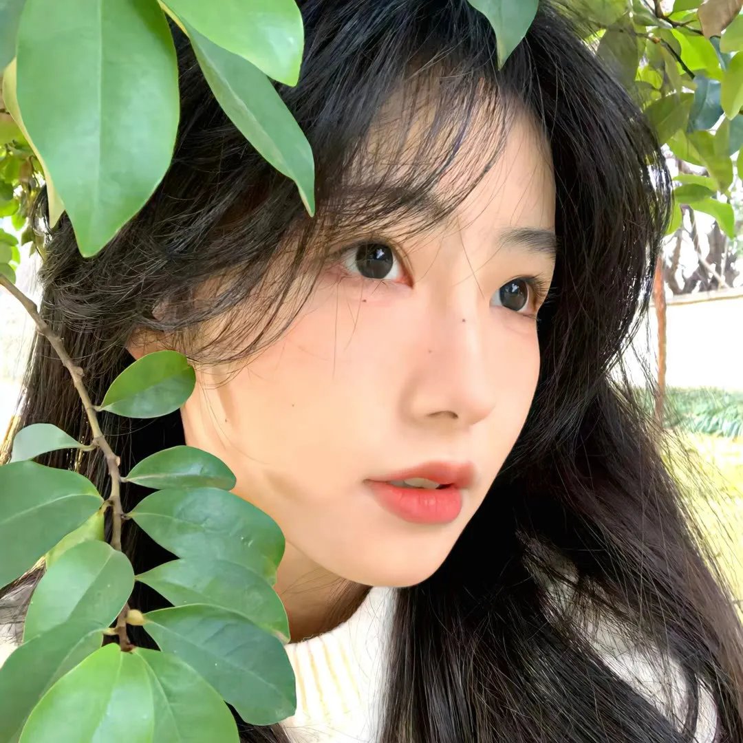 花见